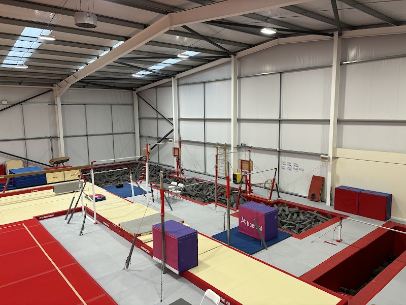 Meridian Gymnastics Team photo 2