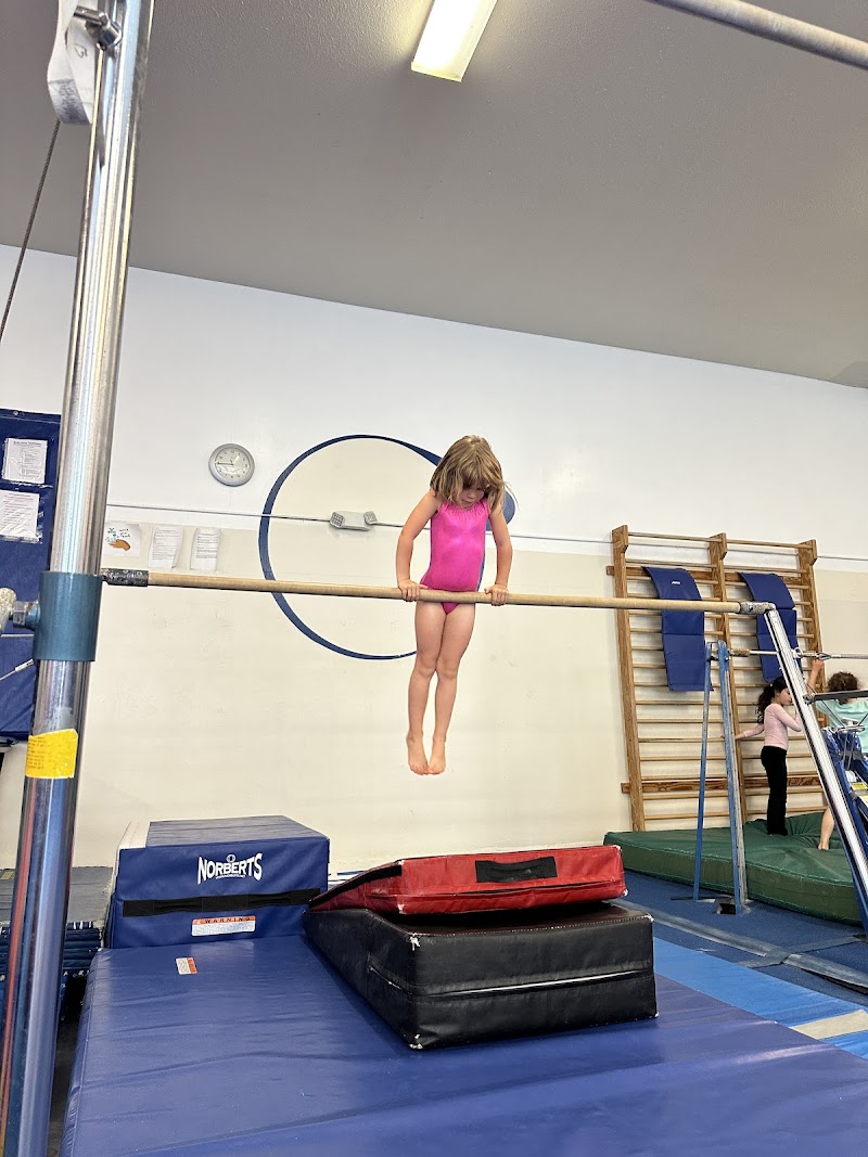 American Gymnastics Club photo 2