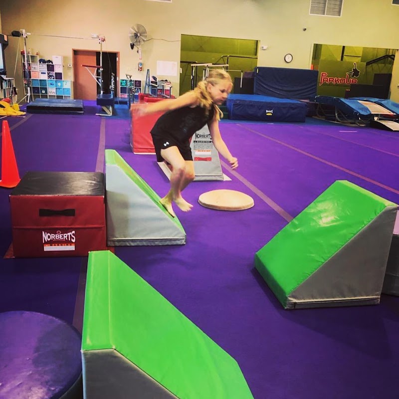 Old Pueblo Gymnastics Academy photo 3
