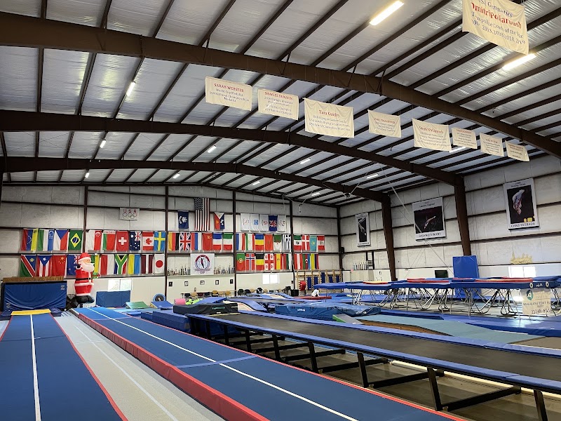 Trampoline and Tumbling Express photo 2