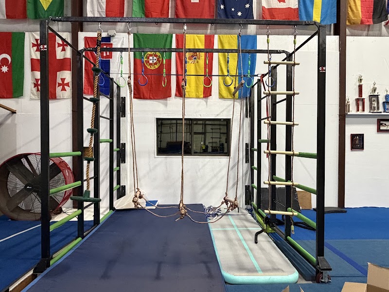 Trampoline and Tumbling Express photo 3