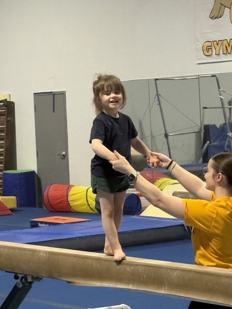 Foundation Gymnastics photo 3