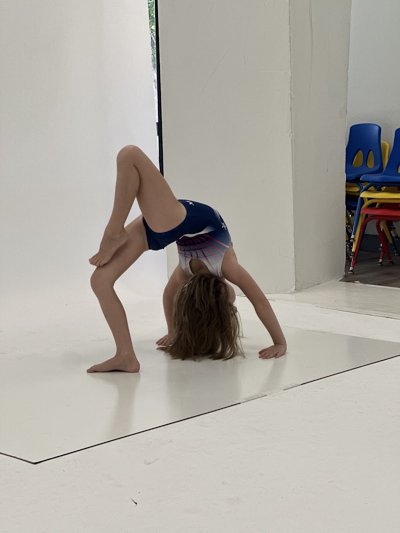 USA Twisterz photo 2