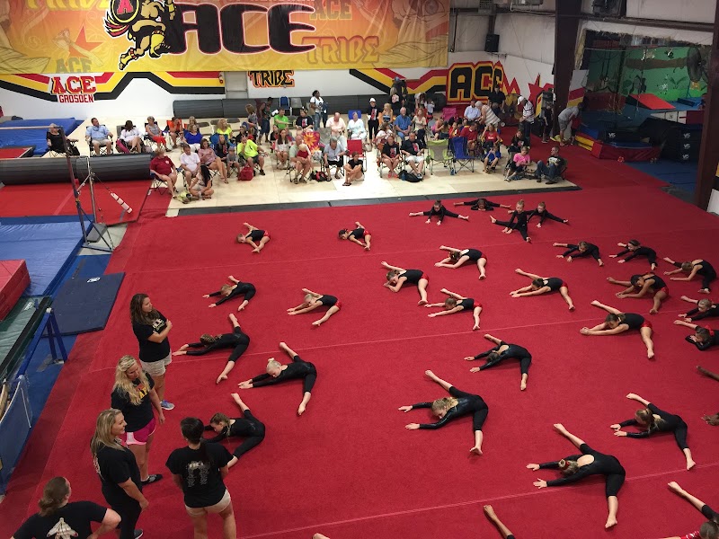 Zees Gymnastics photo 2