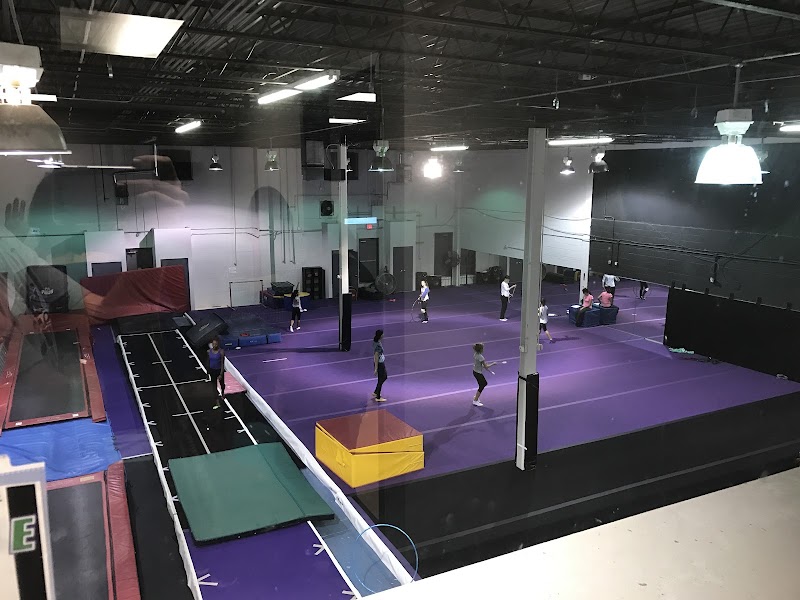 Mosaic Gymnastics photo 2