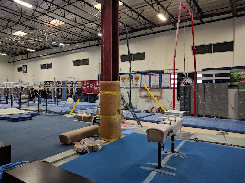 Platinum Gymnastics Academy