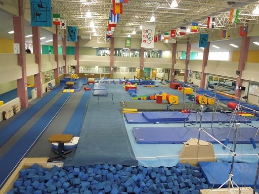 Wilmette Gymnastics photo 2
