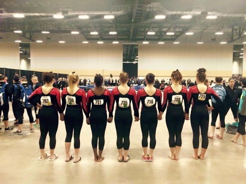 Northwest Gymnastics Academy photo 3
