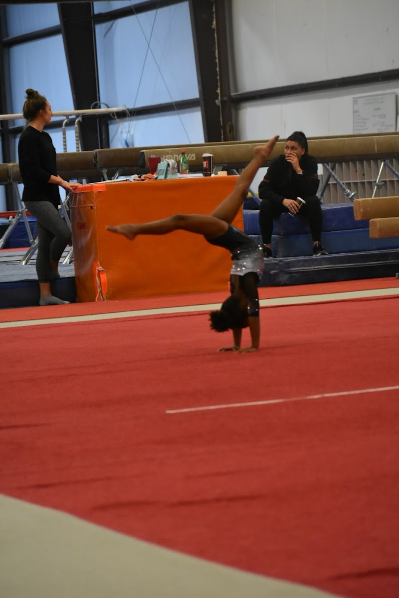 Fuzion Gymnastics photo 2
