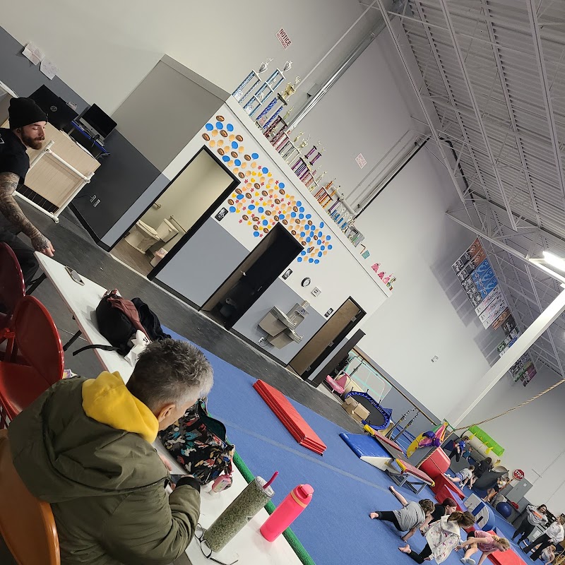 Phoenix Gymnastics