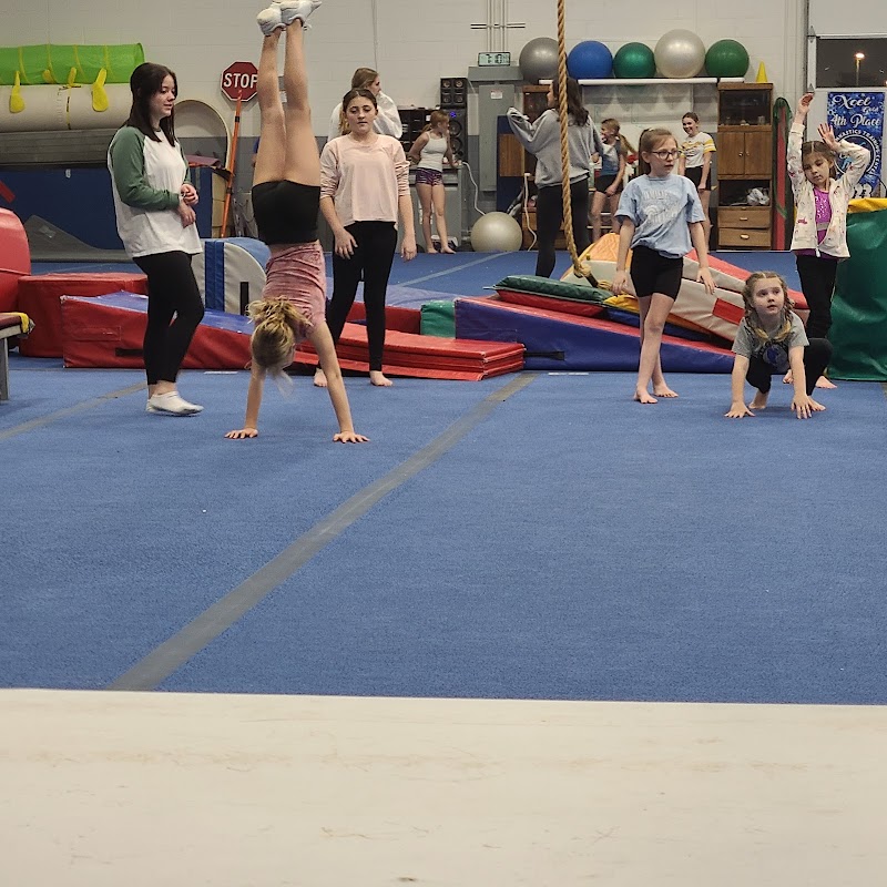 Phoenix Gymnastics photo 2