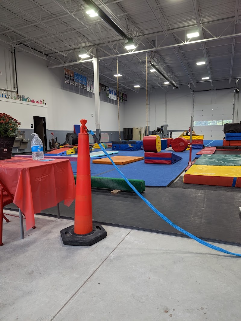 Phoenix Gymnastics photo 3
