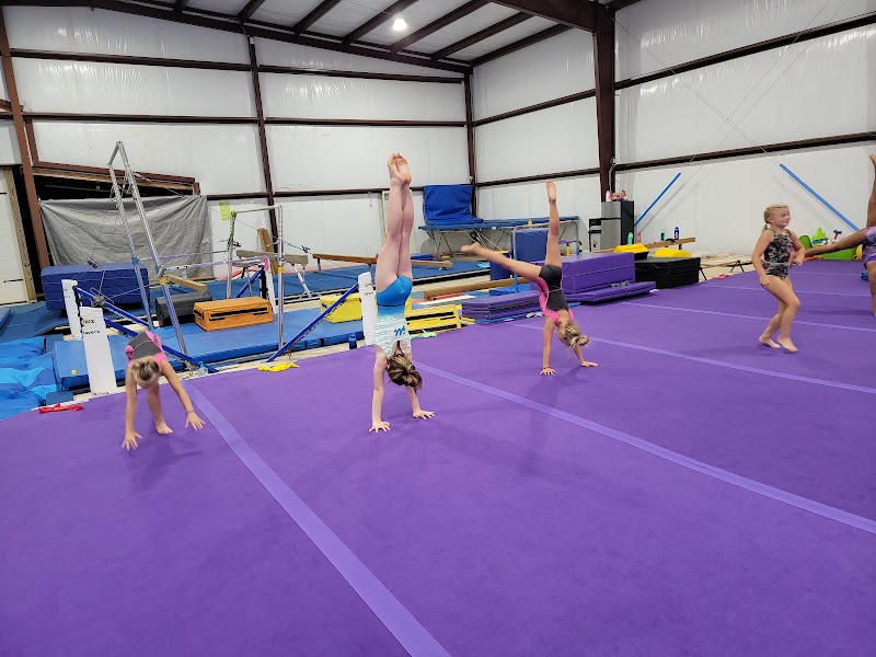 Precision Dynamix