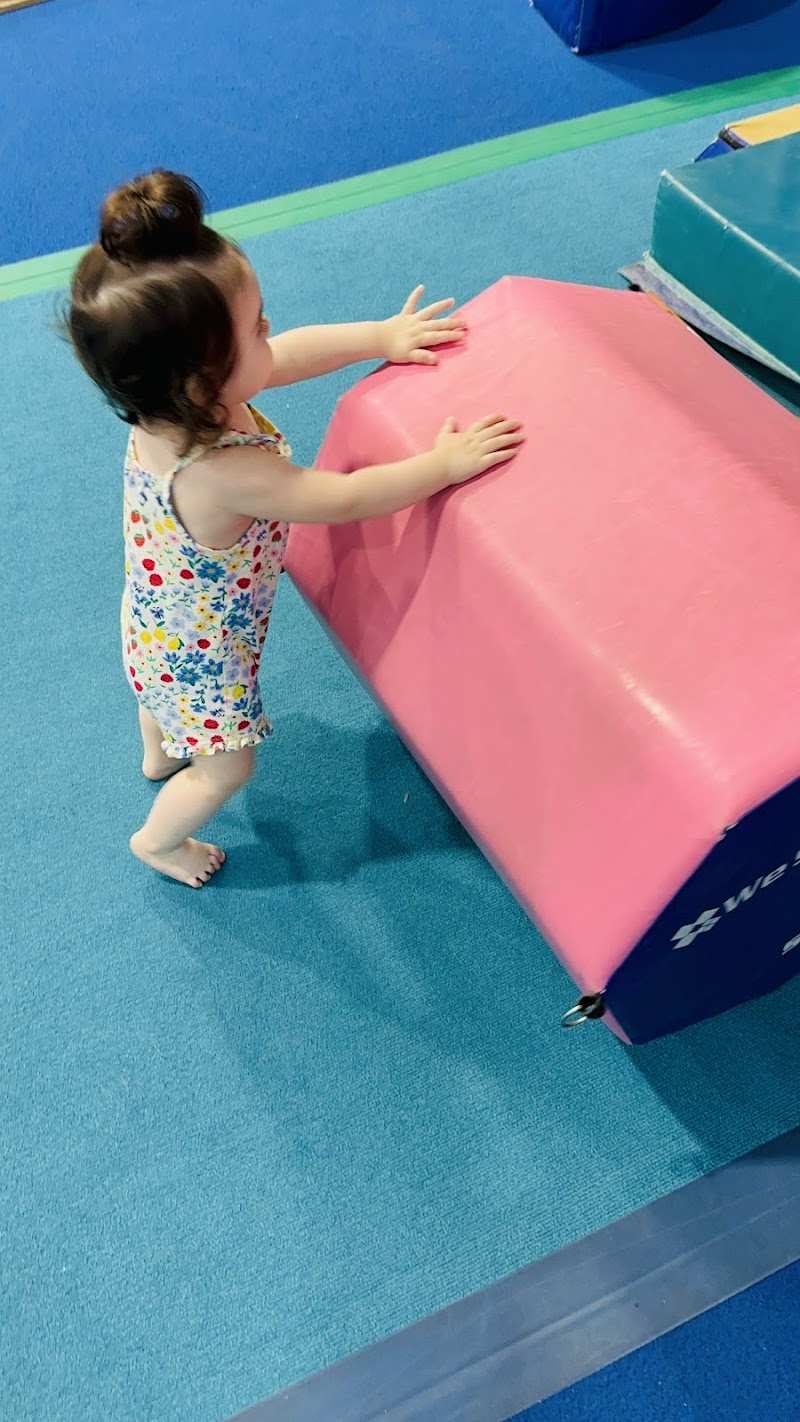 Alamo Gymnastics Center photo 3