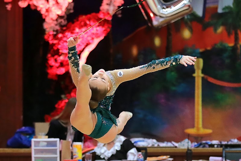 Los Angeles School of Gymnastics photo 2