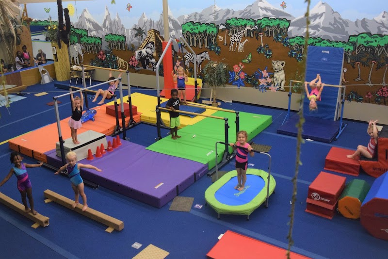 Exceleration Gymnastics Center photo 2