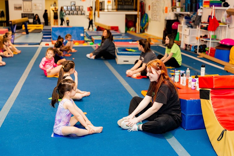 Gym Hutt Gymnastics