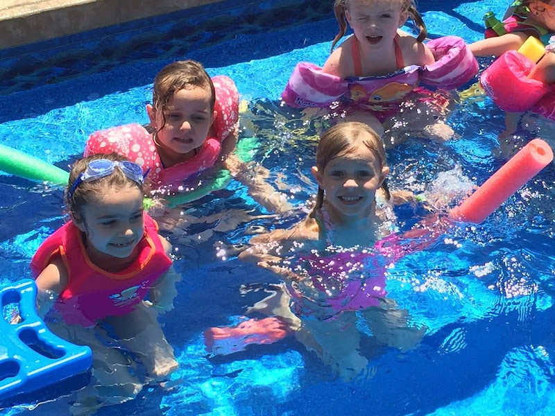 Gym Hutt Gymnastics photo 3