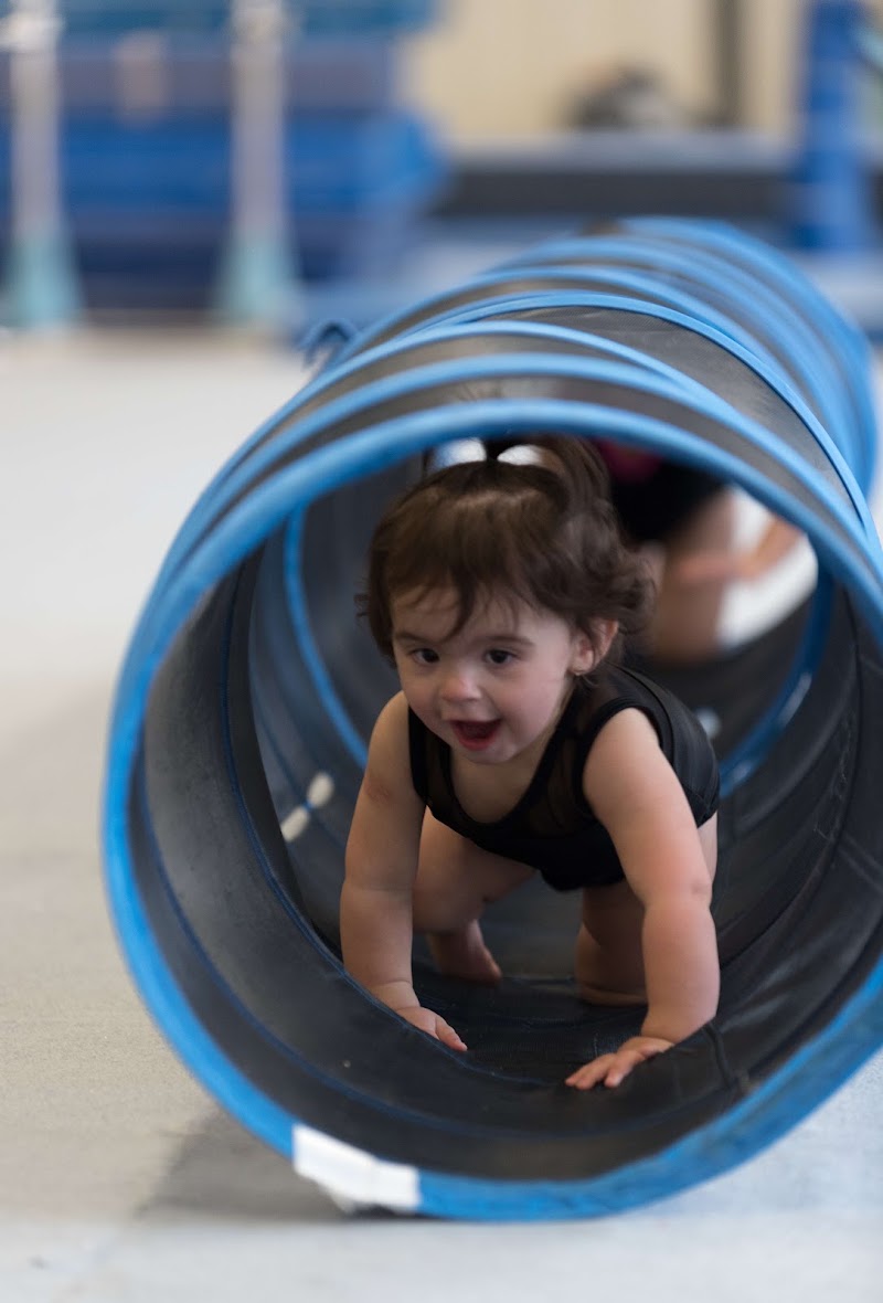 Epic Gymnastics photo 2