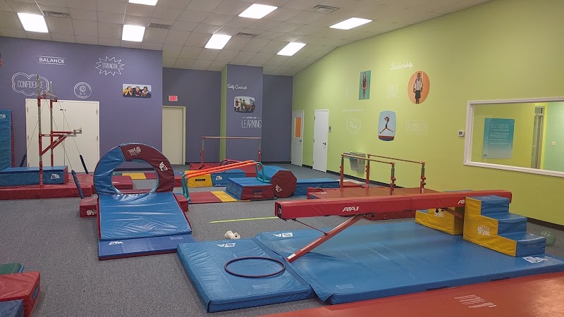 The Little Gym photo 3
