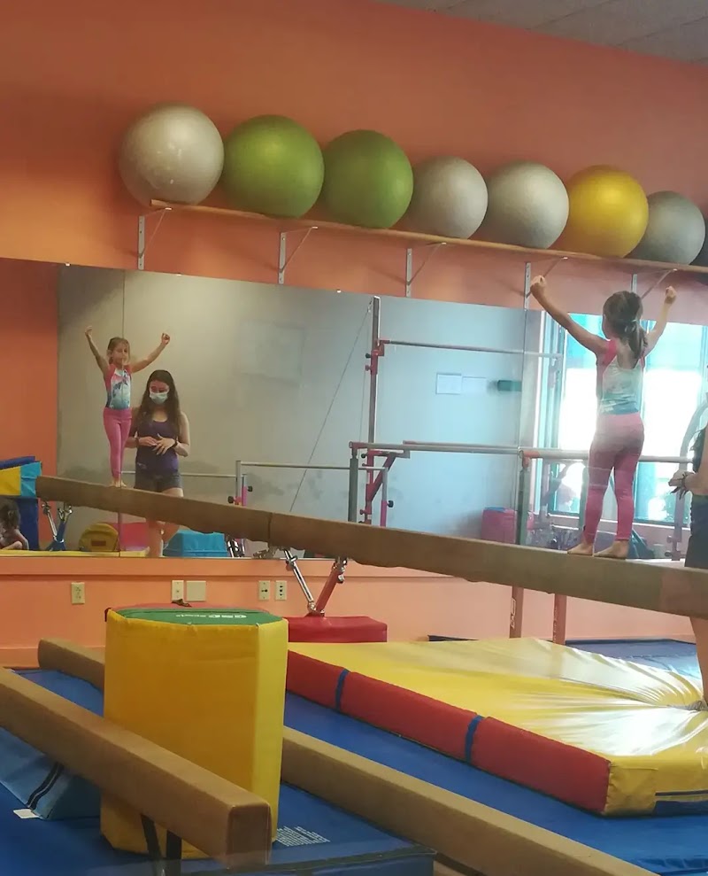 Dream Big Gymnastics photo 2