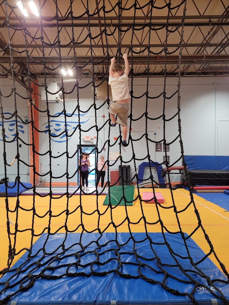 Dream Big Gymnastics photo 3