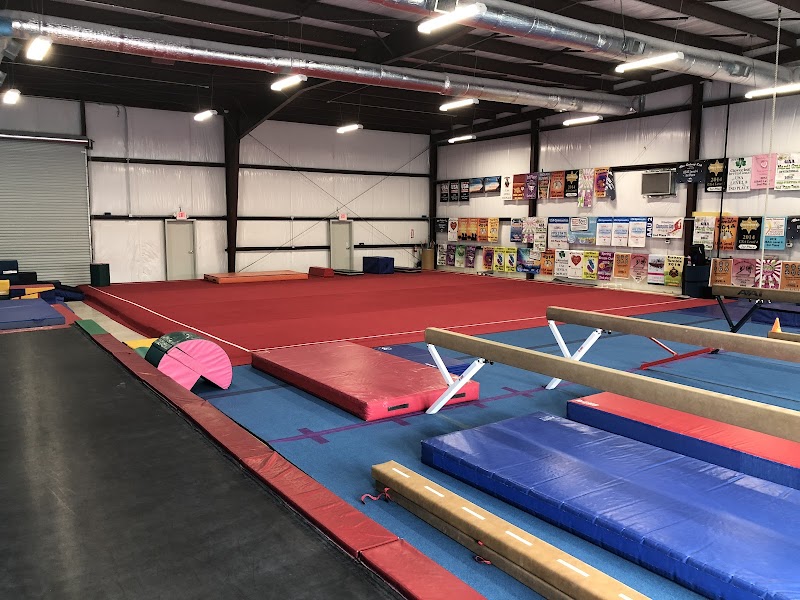 All Around Gymnastics