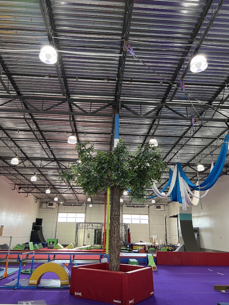 Elevate Sports Center photo 3