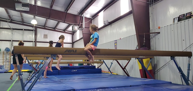 Canon Academy of Gymnastics photo 2