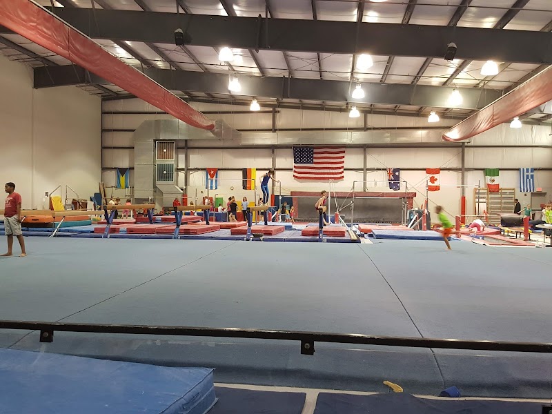 Virginia International Gymnastics School photo 2