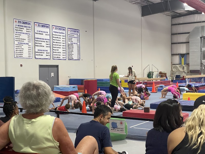 Virginia International Gymnastics School photo 3