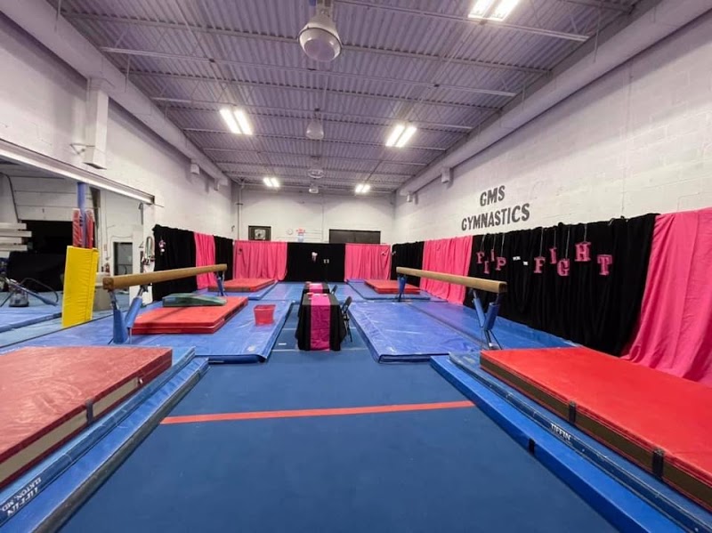 GMS Gymnastics Institute photo 3