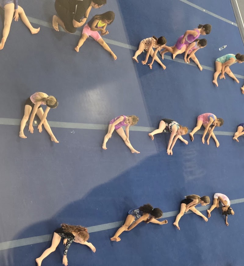 Thames Valley Academy of Gymnastics photo 3