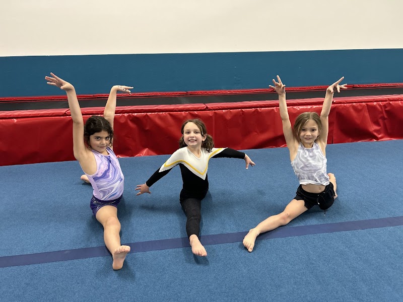 Progression Gymnastics