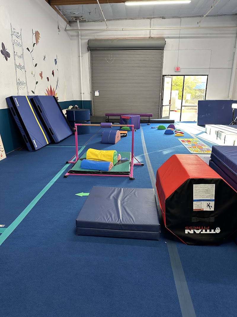 Progression Gymnastics photo 2