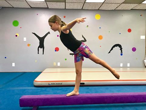 Progression Gymnastics photo 3