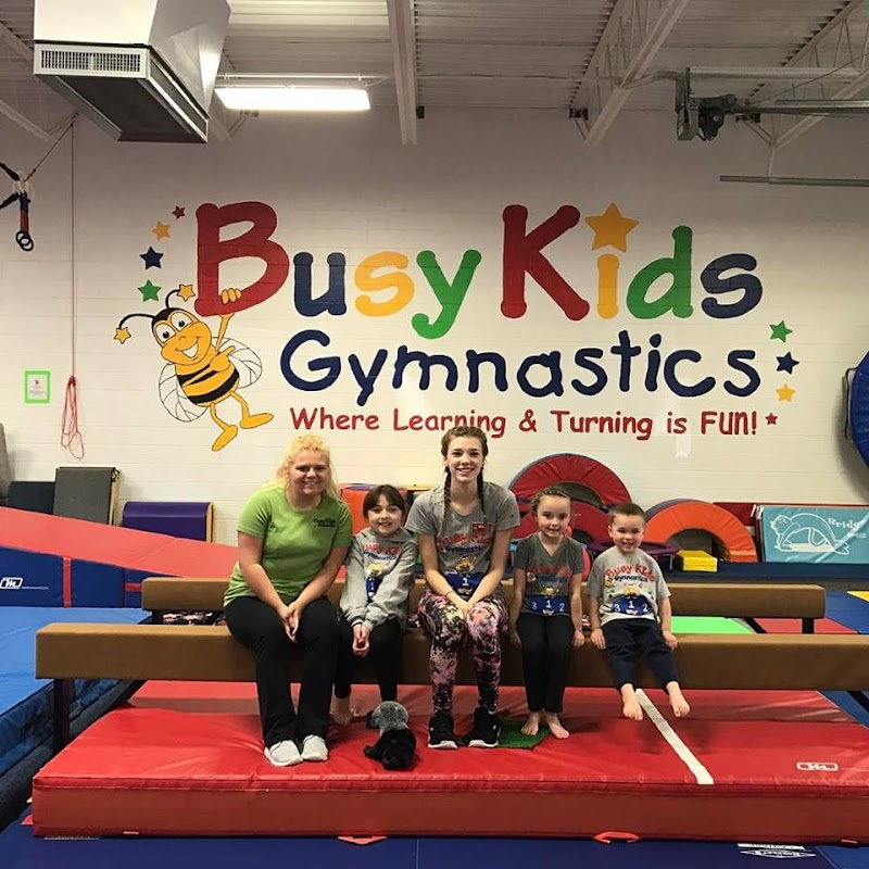 Busy Kids Gymnastics photo 3