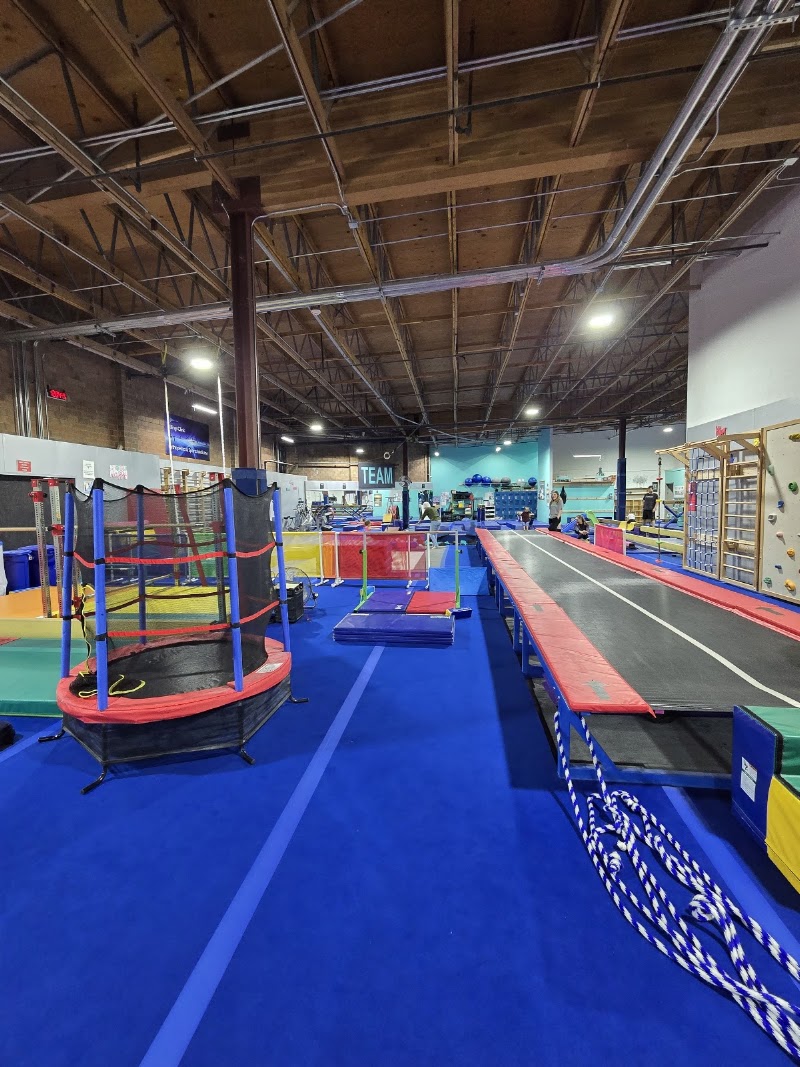 Magic City Gymnastics photo 1