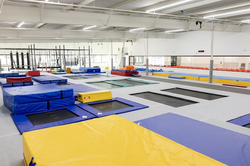 Oklahoma Gold Gymnastics photo 2