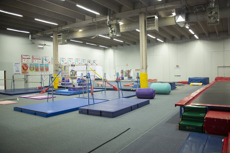 Metro Gymnastics photo 2