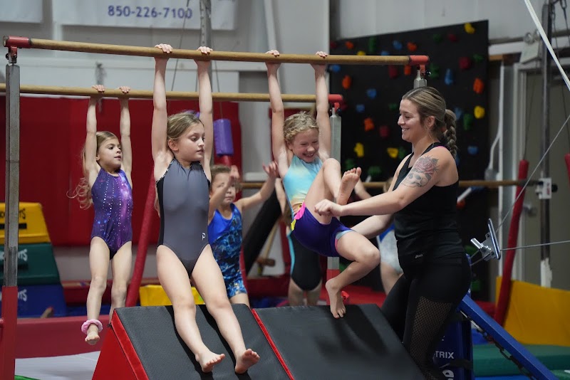 U.S. Gold Gymnastics Academy photo 2