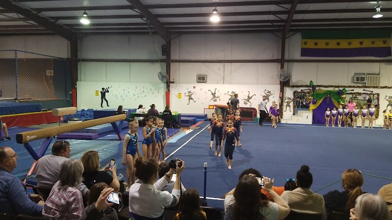 Gymnastics Plus