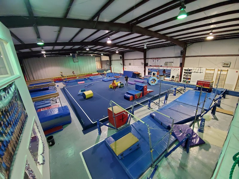 Gymnastics Plus photo 3