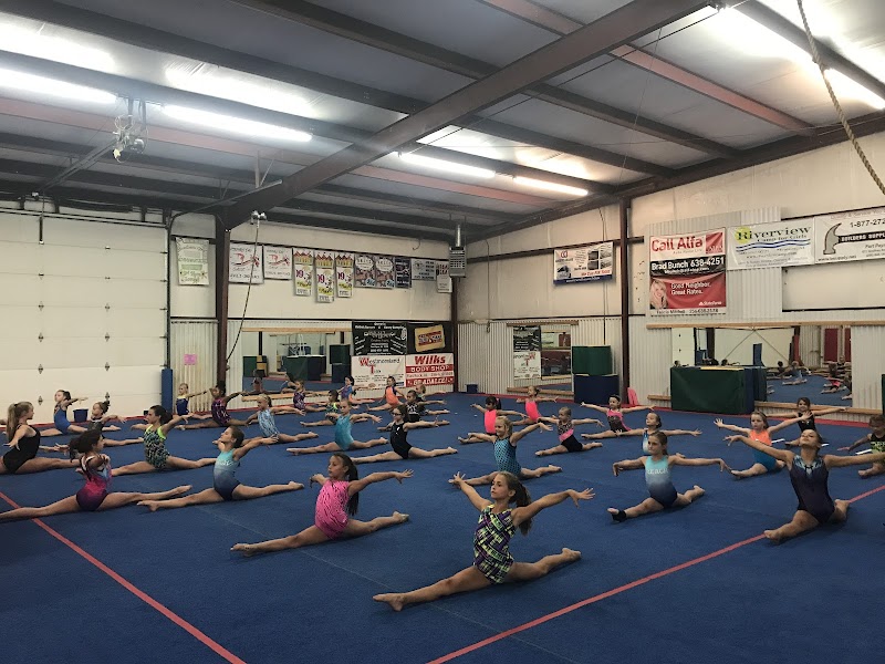 North Alabama Gymnastics Center photo 2