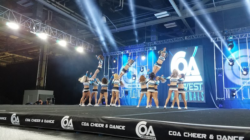 Michigan Cheer Company photo 2