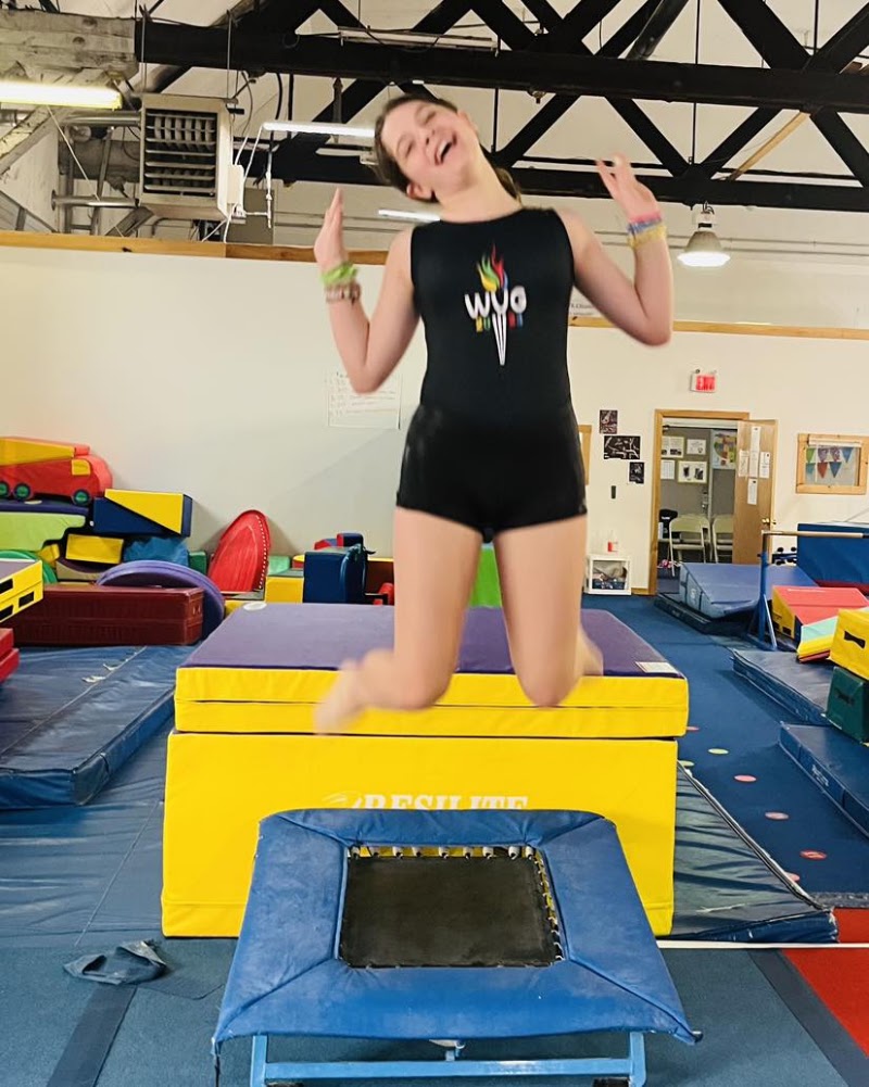 Wyoming Valley Gymnastics photo 3