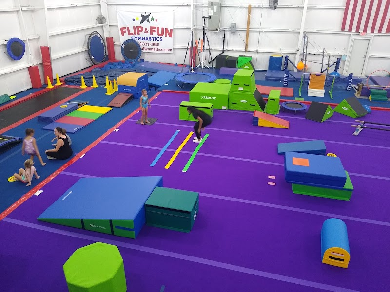 Flip and Fun Gymnastics, LLC photo 2