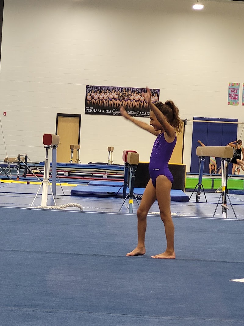Vault Gymnastics