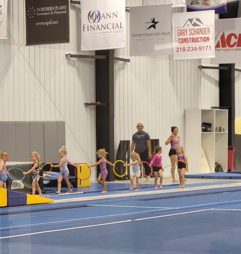 Vault Gymnastics photo 2