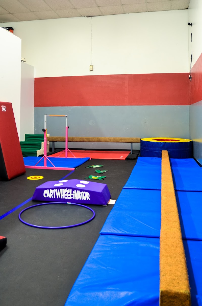 West Houston Gymnastics Club photo 2